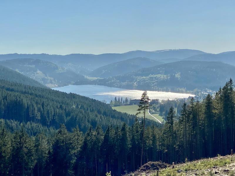 Hotel Zartenbach Hinterzarten Εξωτερικό φωτογραφία