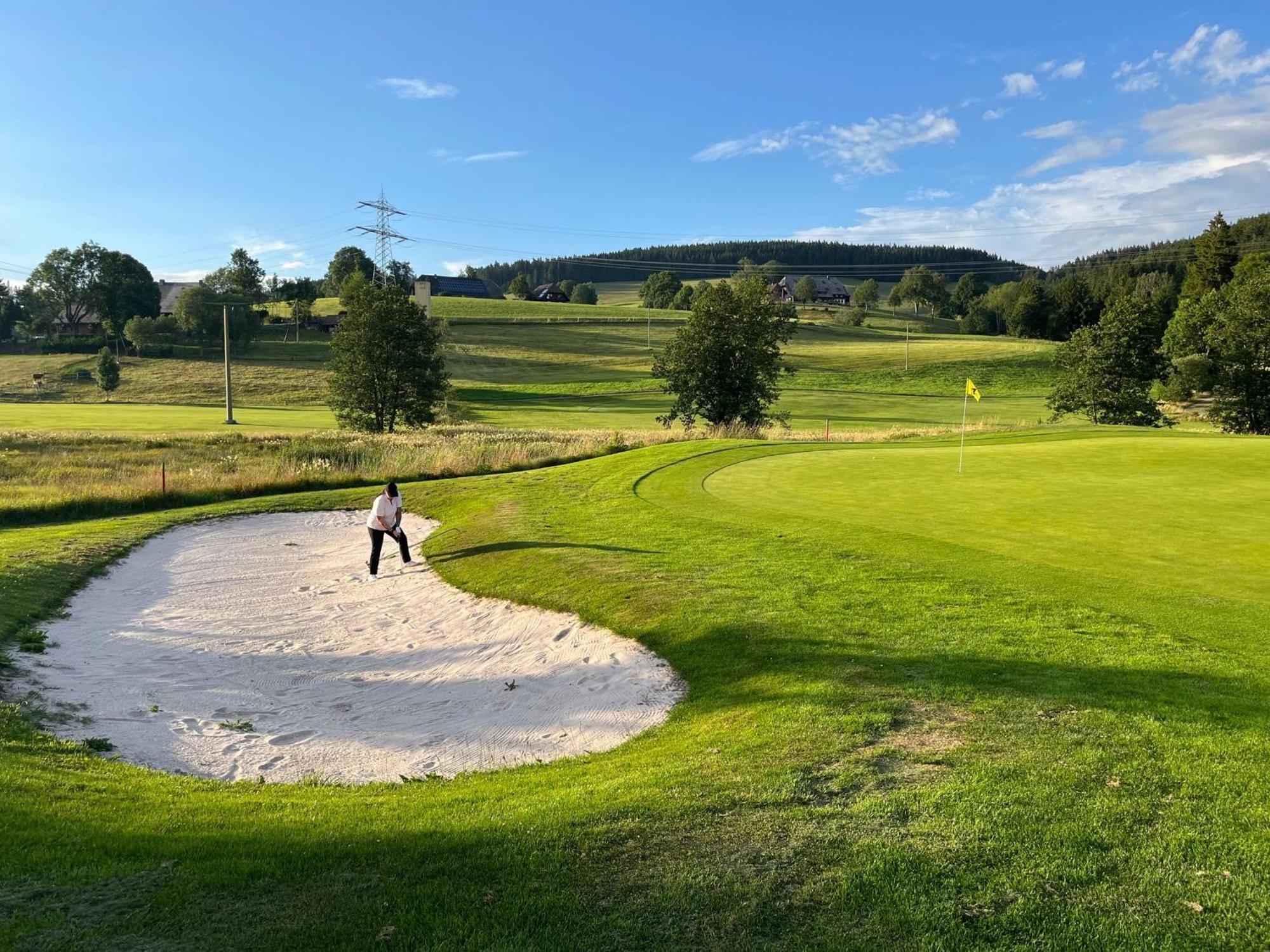 Hotel Zartenbach Hinterzarten Εξωτερικό φωτογραφία