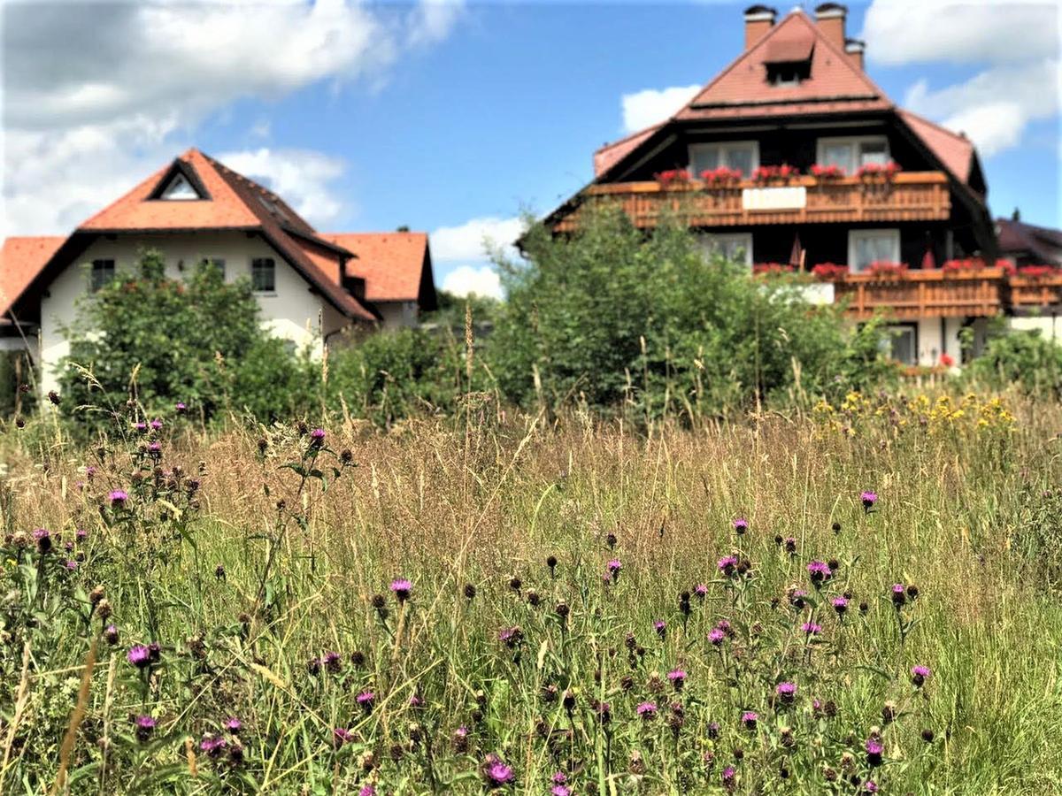 Hotel Zartenbach Hinterzarten Εξωτερικό φωτογραφία